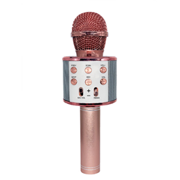 Karaoke Speaker